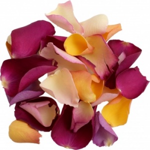 Twilight Mixed Rose Petals